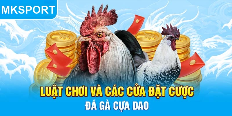 Luật Chơi Đá Gà Cựa Dao Tại MK Sport