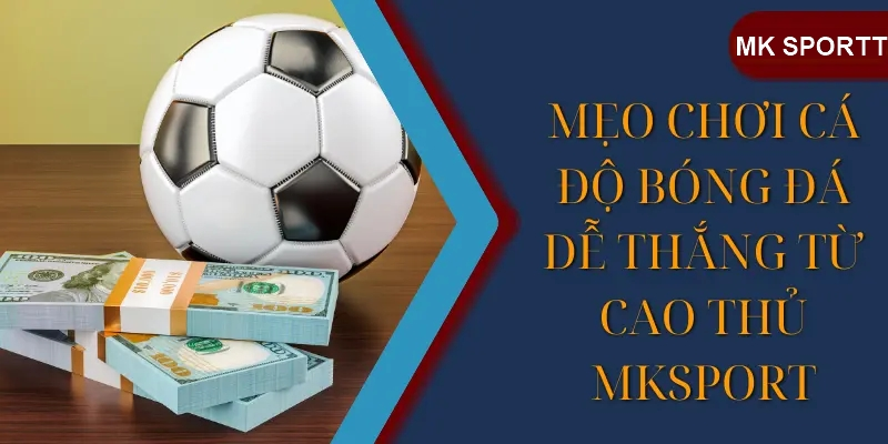 Mẹo cá cược thể thao chắc thắng tại mk sport